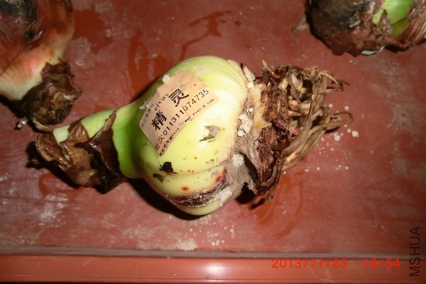 ���õ�ȥ������ҩ