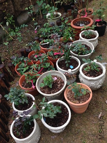 ��Ƭ 037.jpg