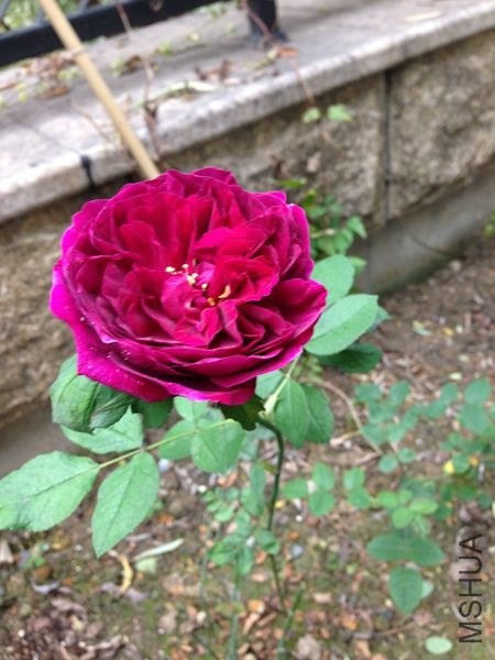 ��Ƭ 008.jpg