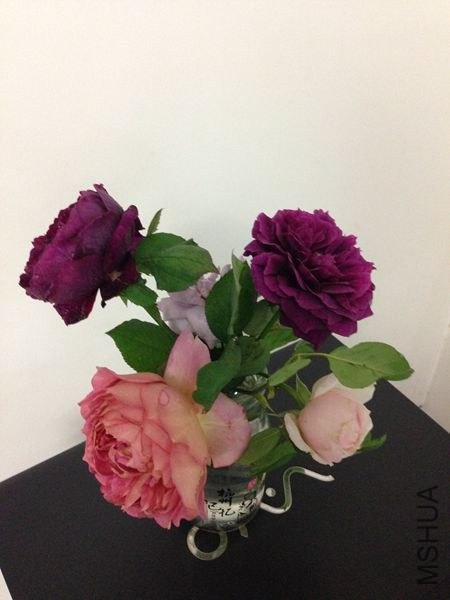 ��Ƭ 009.jpg