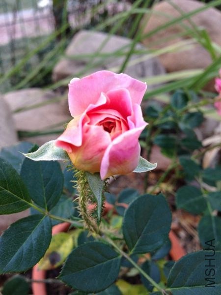 ��Ƭ 015.jpg