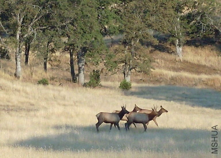 SDC11328-SAS.jpg