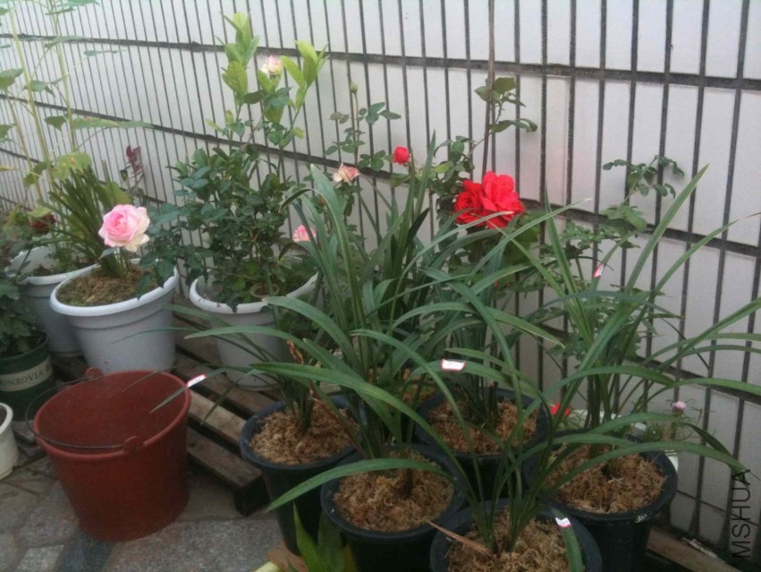 2013-11-22 074601.jpg