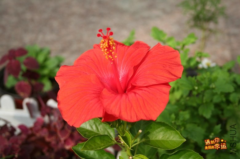 ��Ƭ 031_����.jpg