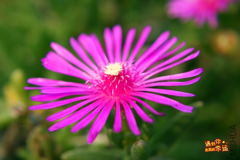 ��Ƭ 115_����.jpg