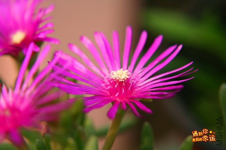 ��Ƭ 117_����.jpg