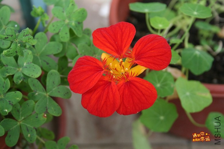 ��Ƭ 009_����.jpg