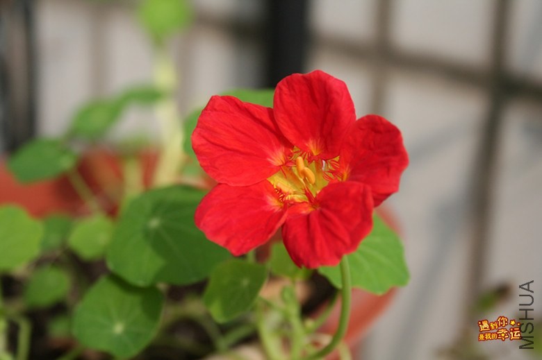 ��Ƭ 012_����.jpg