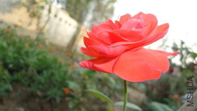DSC03417.JPG