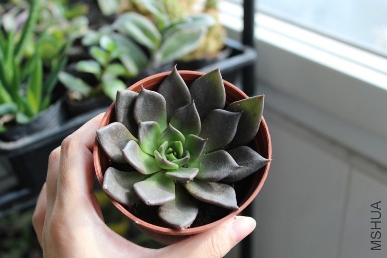 1 (9).jpg