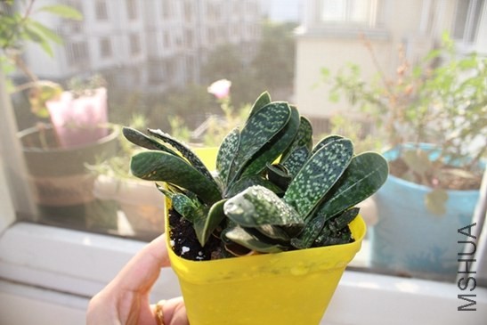 1 (11).jpg