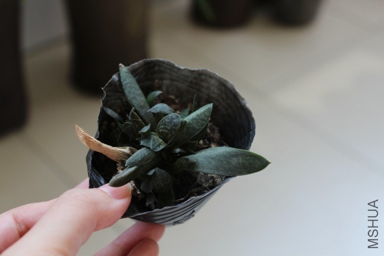 1 (16).jpg