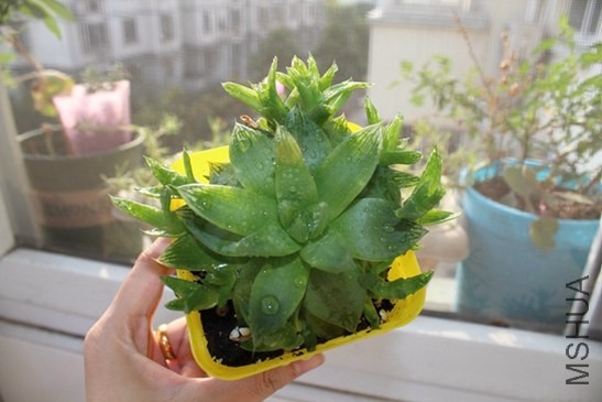 1 (20).jpg