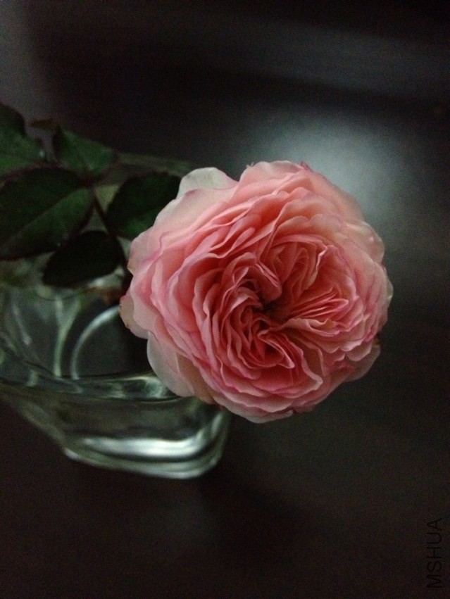 QQͼƬ20131126125325.jpg