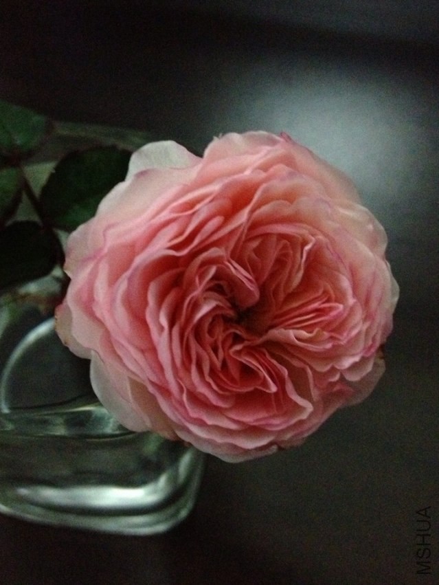 QQͼƬ20131126125336.jpg