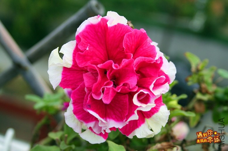 ��Ƭ 027_����.jpg