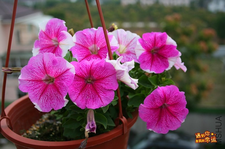 ��Ƭ 022_����.jpg