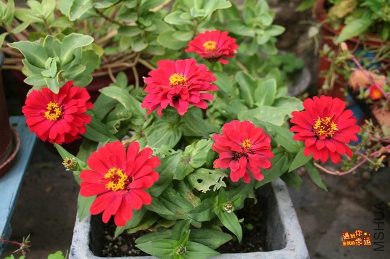 ��Ƭ 037_����.jpg