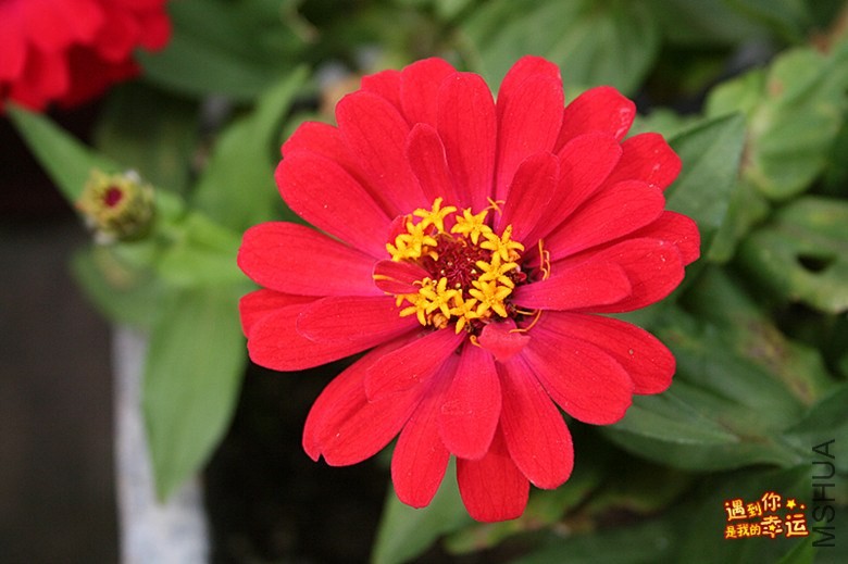 ��Ƭ 039_����.jpg