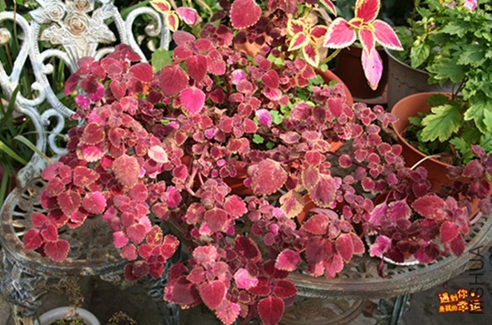 ��Ƭ 033_����.jpg