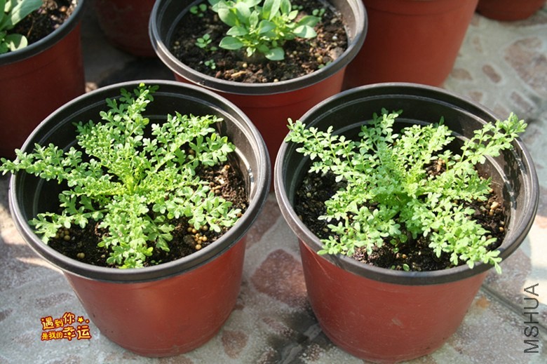 ��Ƭ 102_����.jpg