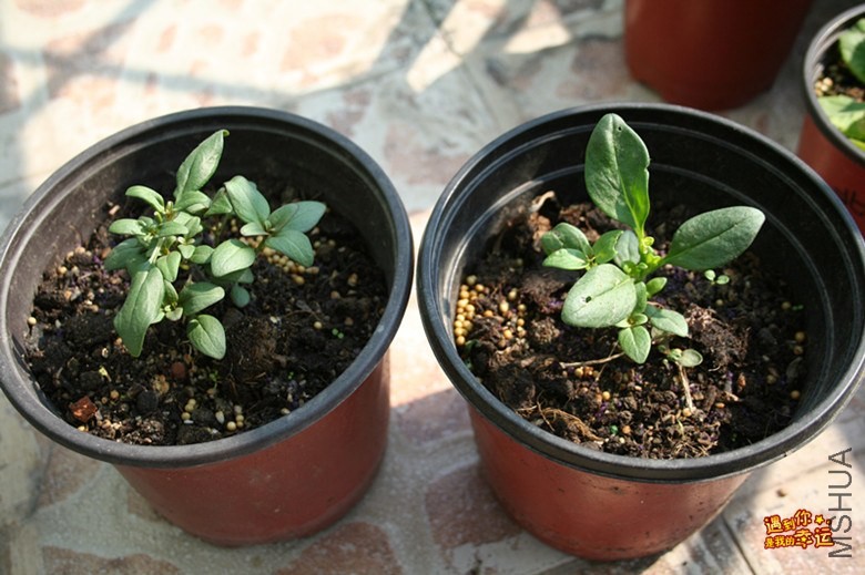 ��Ƭ 108_����.jpg