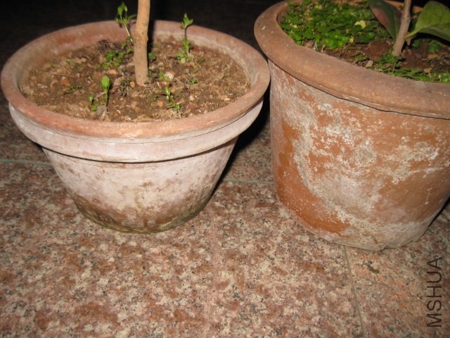 IMG_9553.JPG