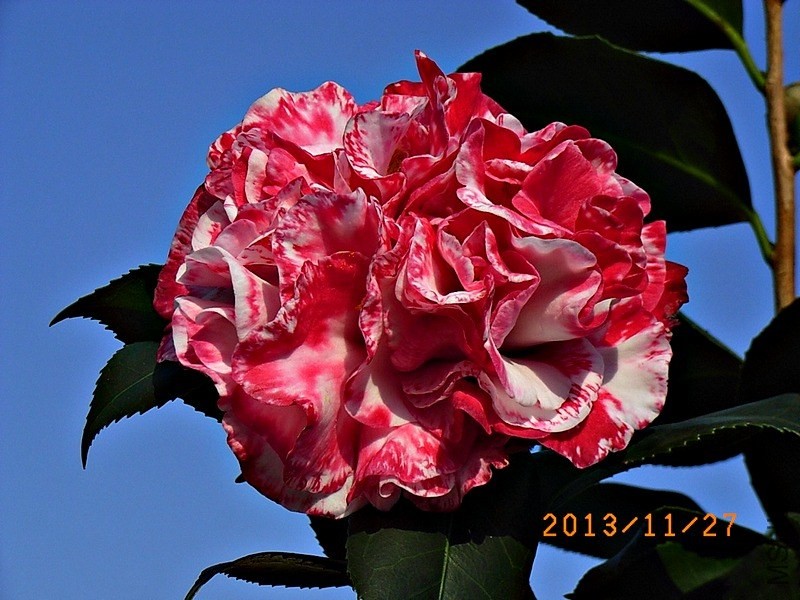 ɪ����a1.JPG