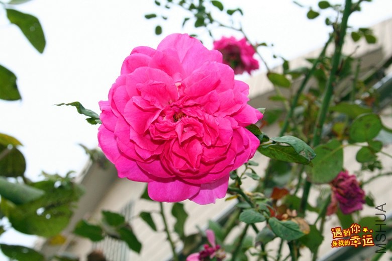 ��Ƭ 088_����.jpg