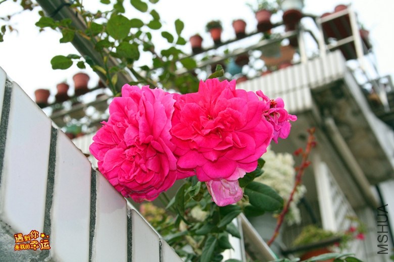 ��Ƭ 094_����.jpg