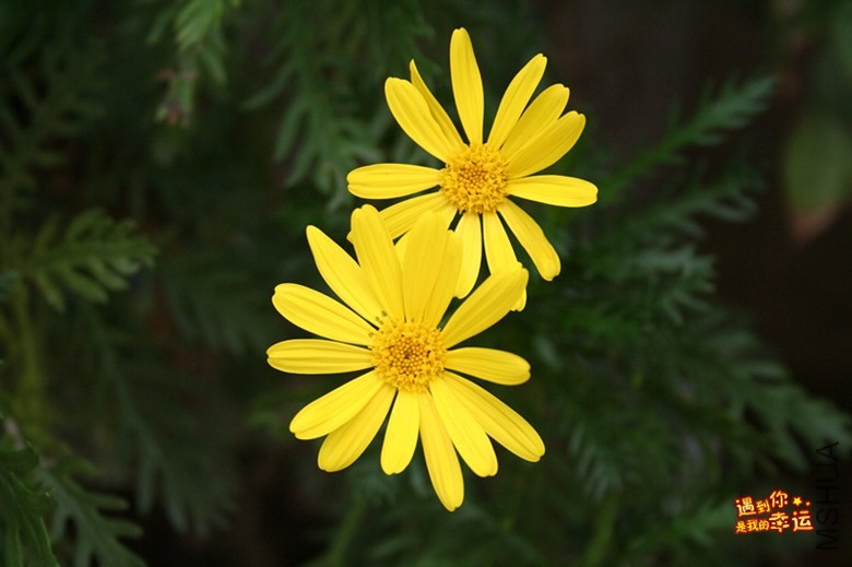 ��Ƭ 083_����.jpg