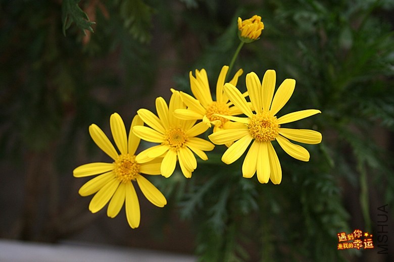 ��Ƭ 084_����.jpg