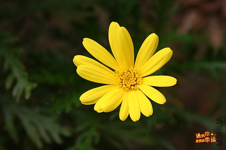 ��Ƭ 085_����.jpg