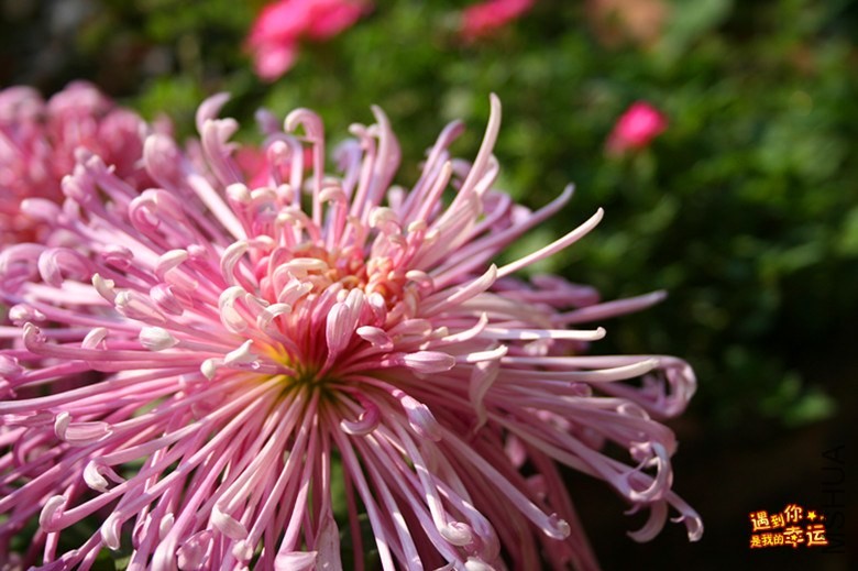 ��Ƭ 045_����.jpg