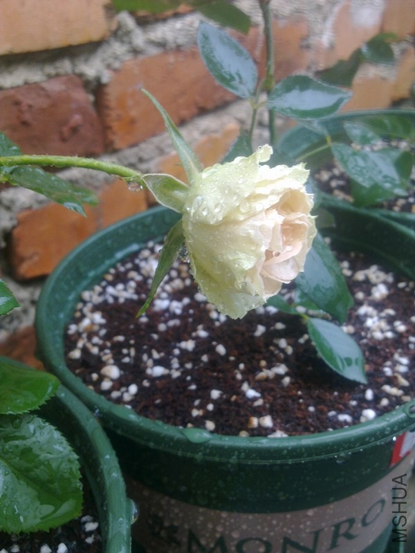 201311241491_����.jpg