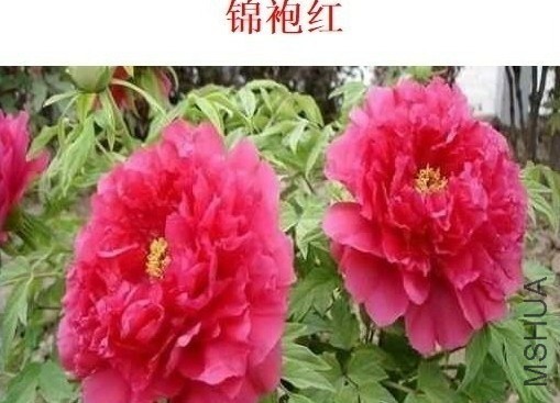 QQͼƬ20131102145419.jpg
