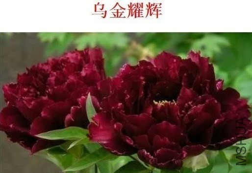 QQͼƬ20131102154411.jpg