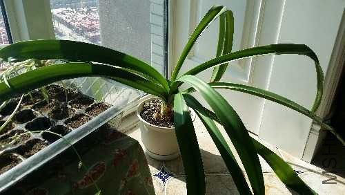 20131129_110259.jpg