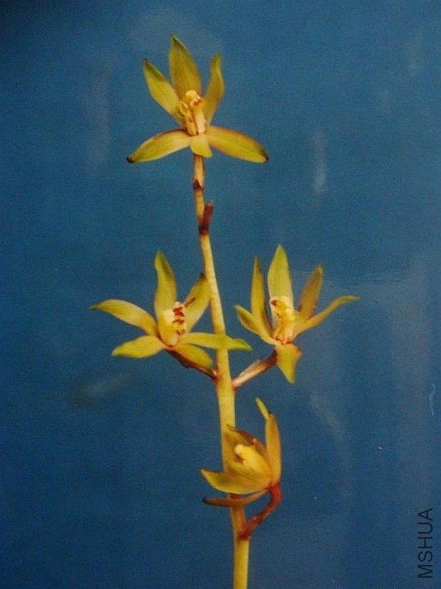 hl01.jpg