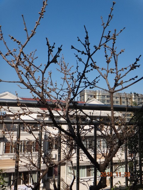 DSC03319.JPG