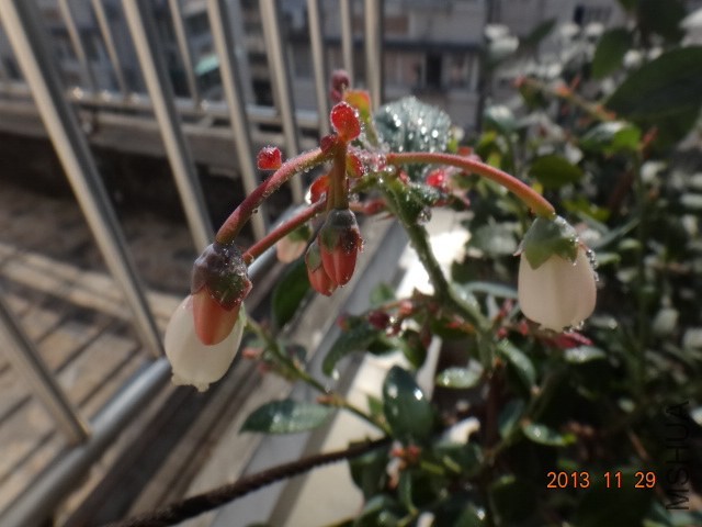DSC03339.JPG