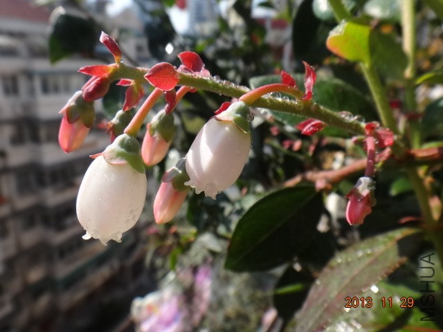 DSC03343.JPG