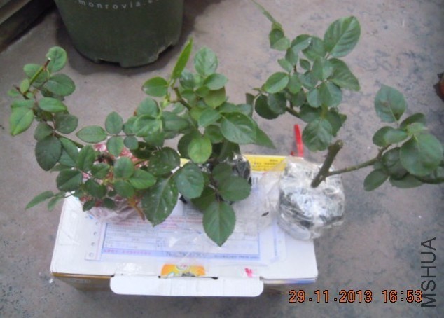 QQͼƬ20131129172507.jpg