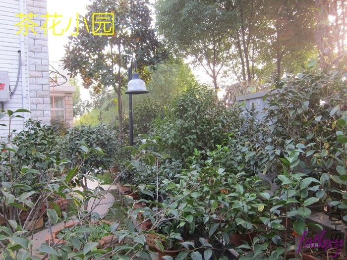 �軨С԰3.jpg