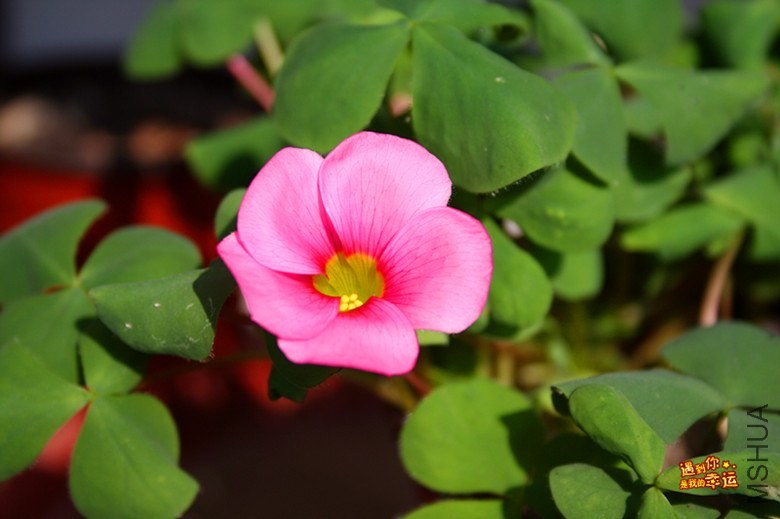 ��Ƭ 076_����.jpg