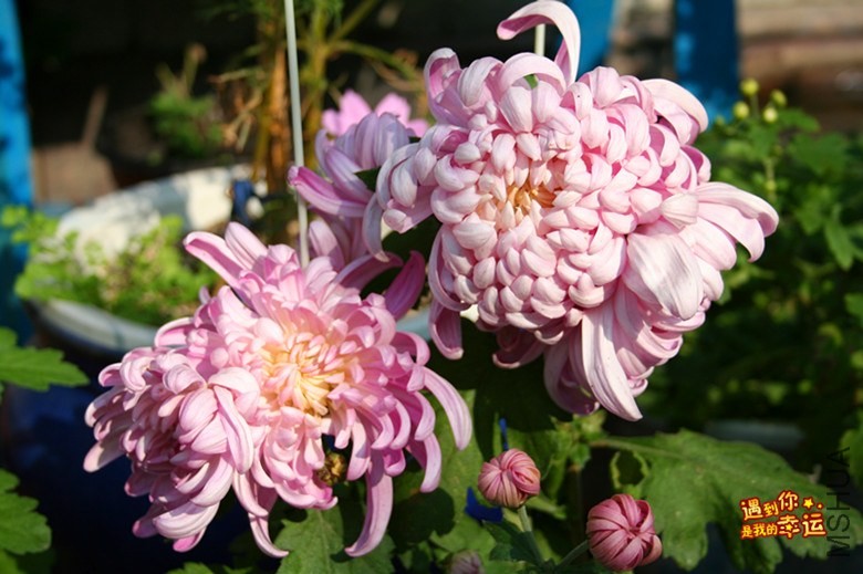 ��Ƭ 032_����.jpg