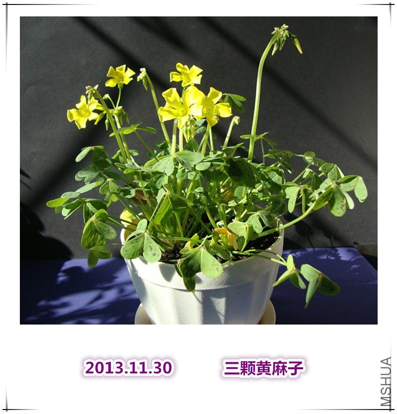DSC07277.JPG