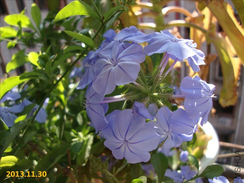 DSC07293.JPG