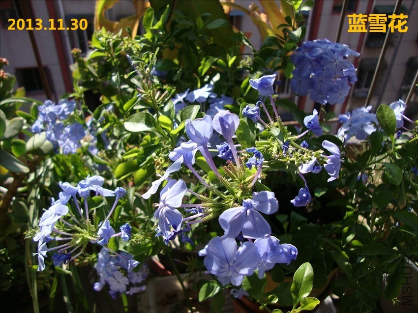 DSC07287.JPG