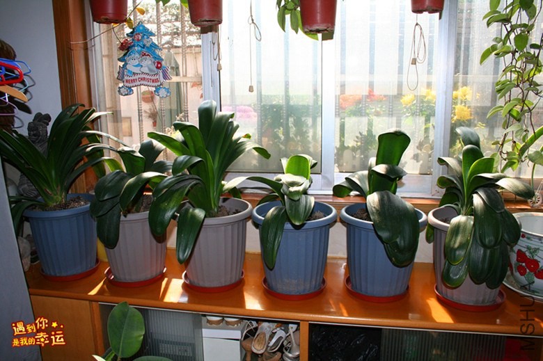 ��Ƭ 050_����.jpg